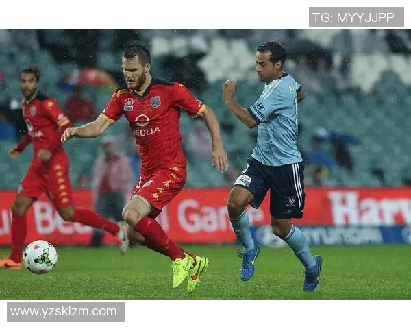 珀斯光荣与悉尼激战正酣赛果揭晓精彩瞬间回顾与分析